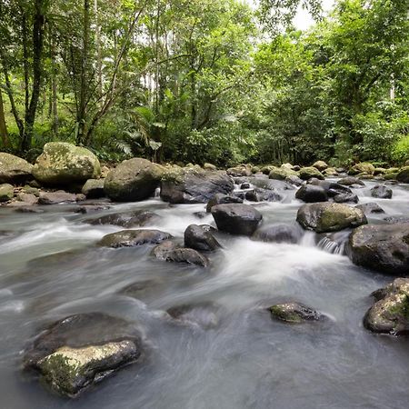 Amarta Pesagi Retreat Tabanan Villa Kültér fotó