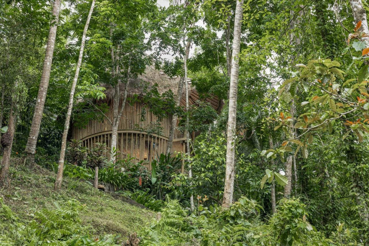 Amarta Pesagi Retreat Tabanan Villa Kültér fotó